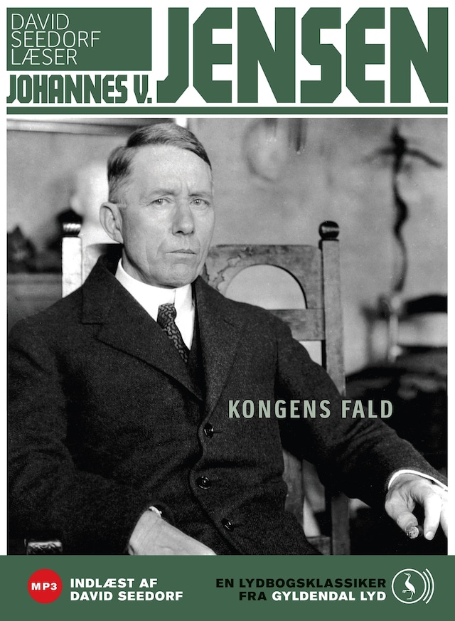 Book cover for Kongens fald
