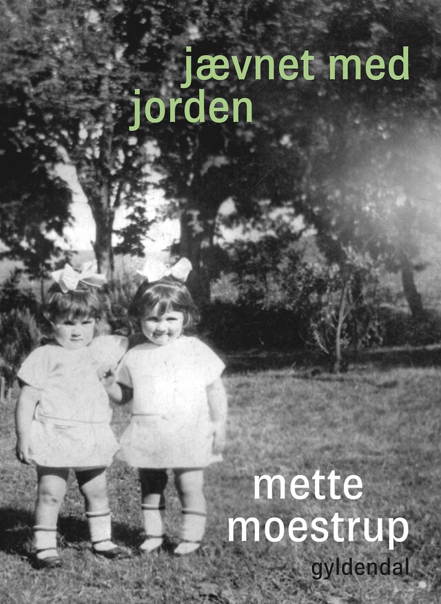 Buchcover für Jævnet med jorden