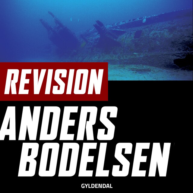 Buchcover für Revision