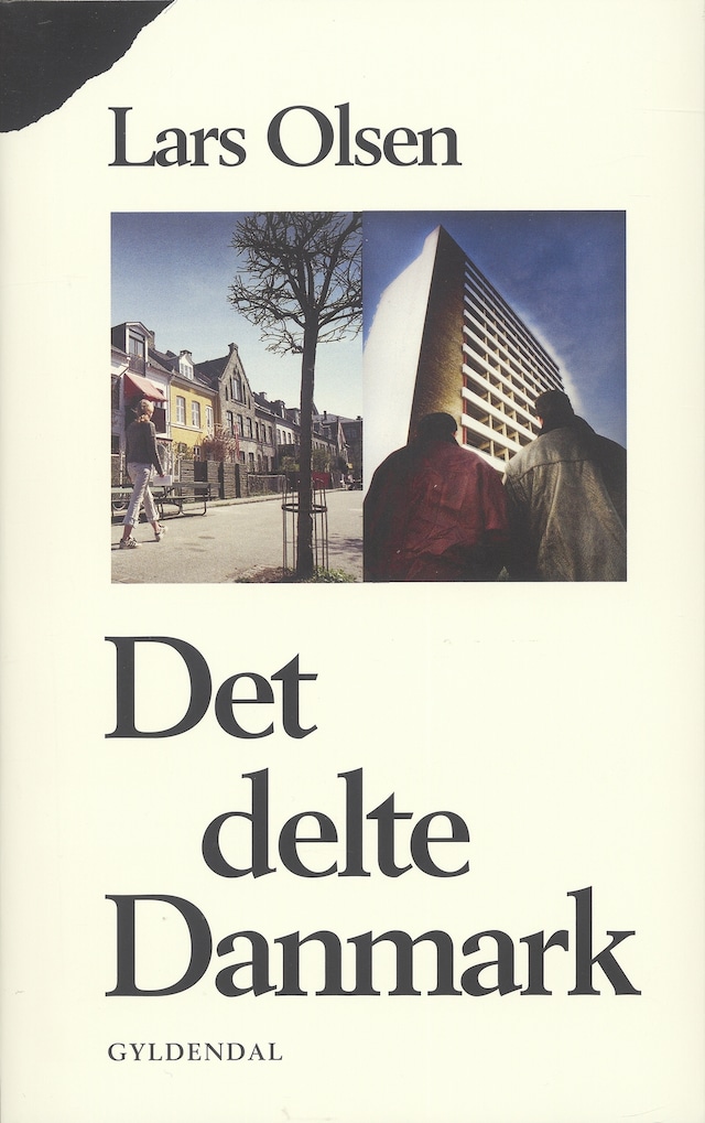 Buchcover für Det delte Danmark