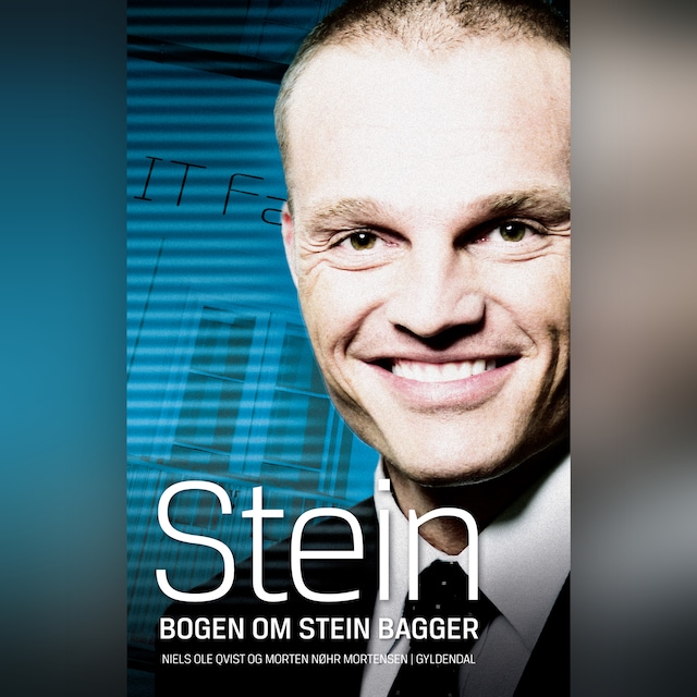 Book cover for Stein