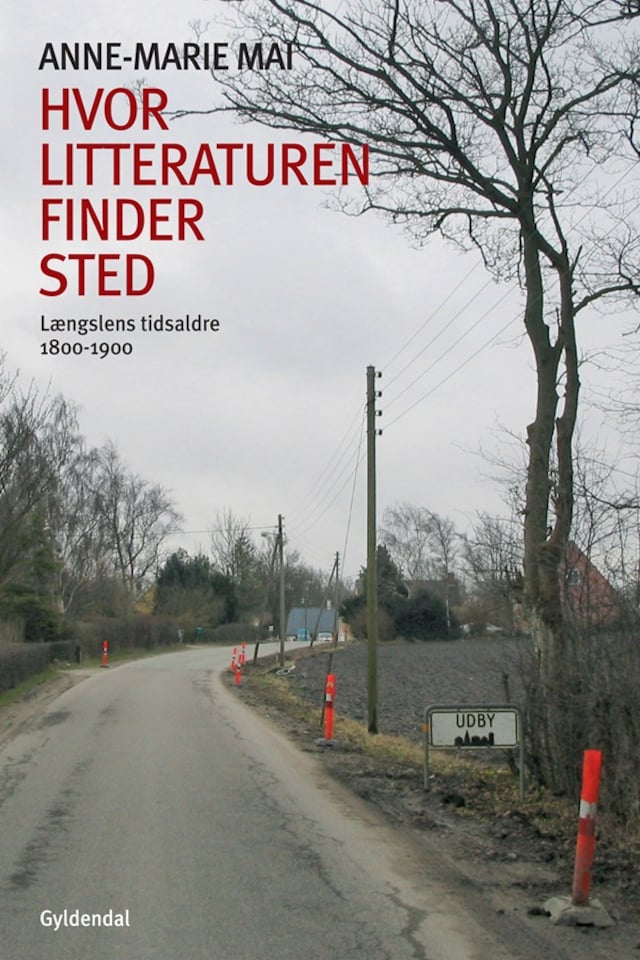 Buchcover für Hvor litteraturen finder sted - bind 2