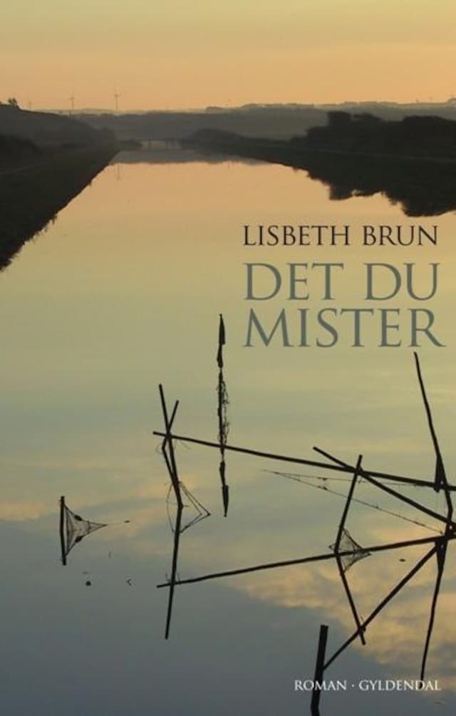 Book cover for Det du mister