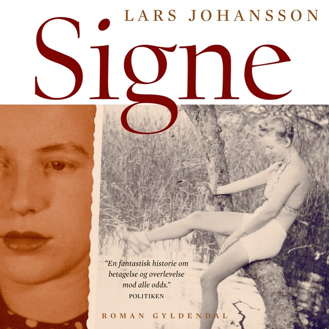 Book cover for Signe