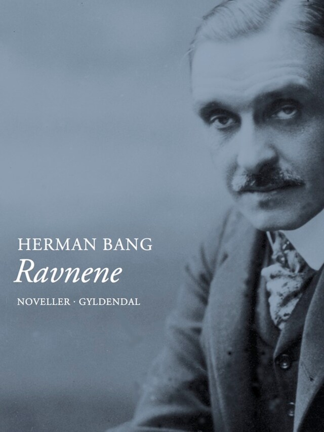 Book cover for Ravnene