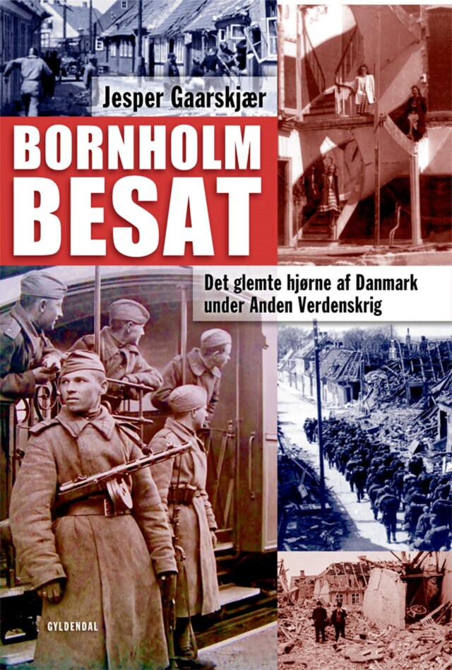 Book cover for Bornholm besat
