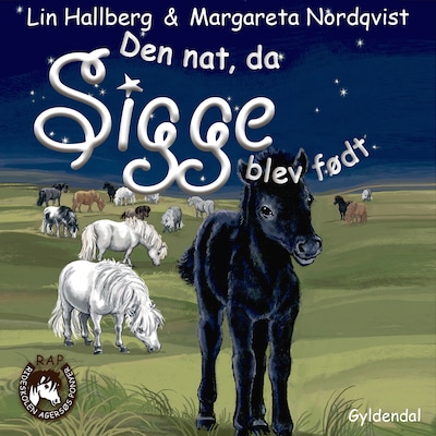 Sam og Sigge 2 - Den nat, da Sigge blev født.