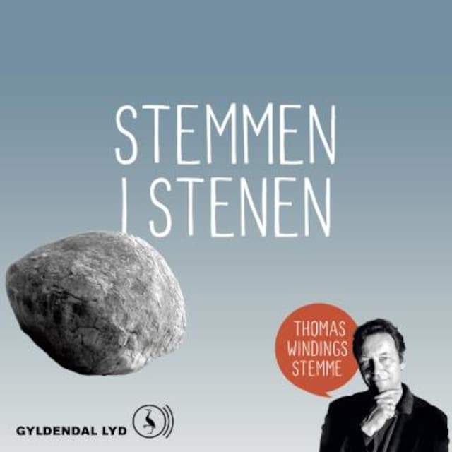Book cover for Stemmen i stenen