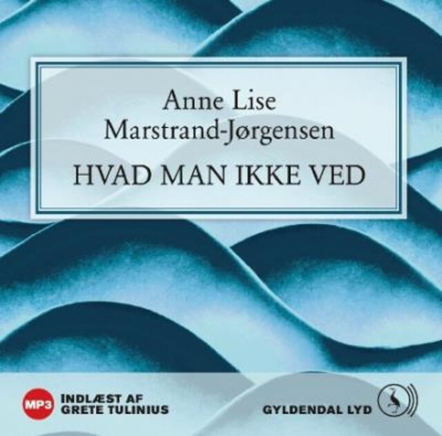 Book cover for Hvad man ikke ved