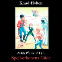 Spejl-Ørkenens gåde
