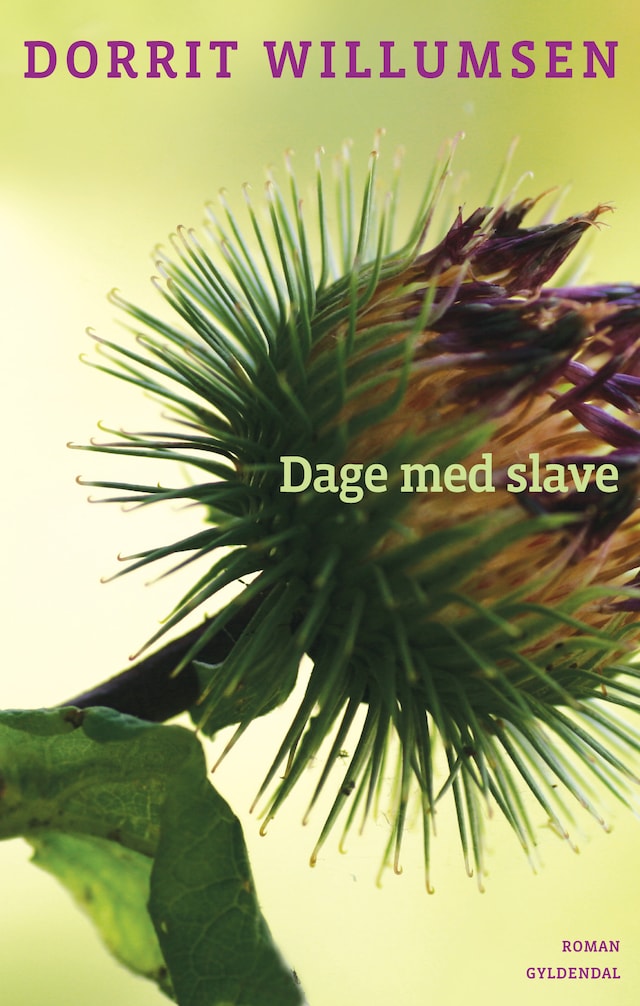 Book cover for Dage med slave
