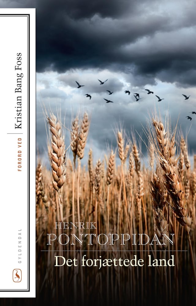 Book cover for Det forjættede land