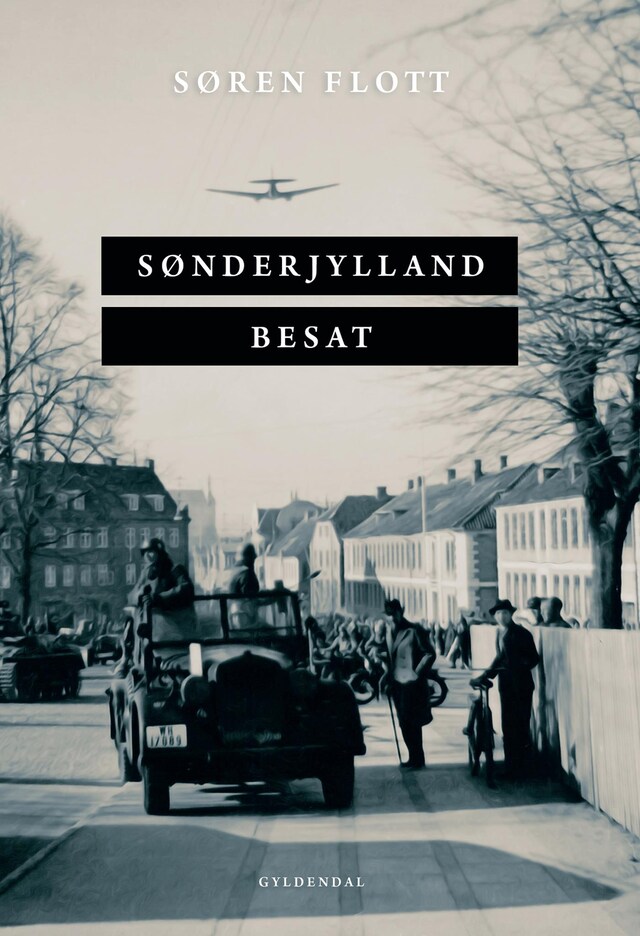 Boekomslag van Sønderjylland besat