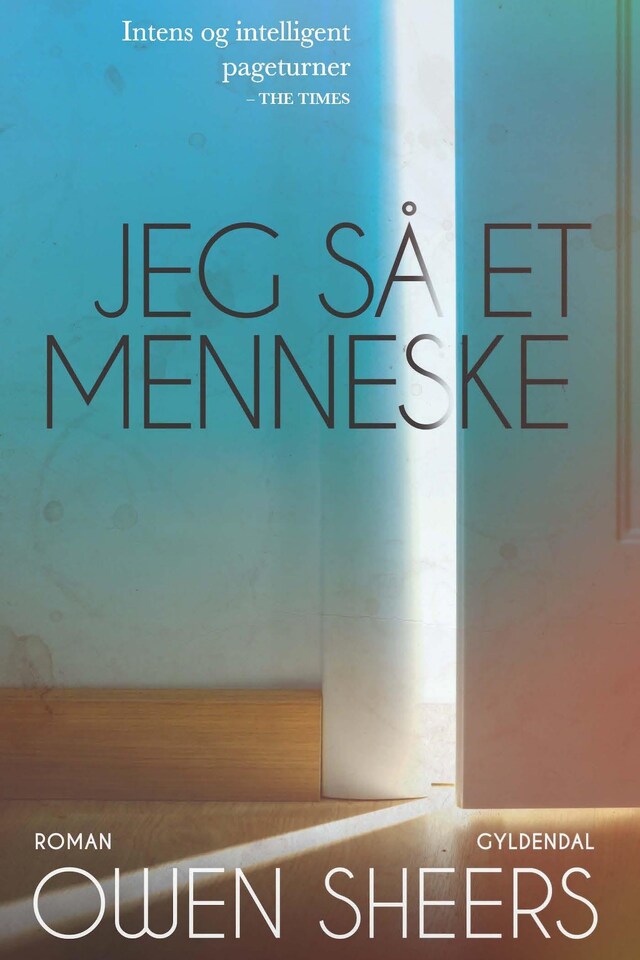 Book cover for Jeg så et menneske