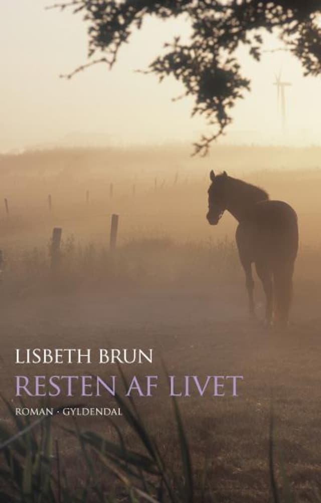Book cover for Resten af livet