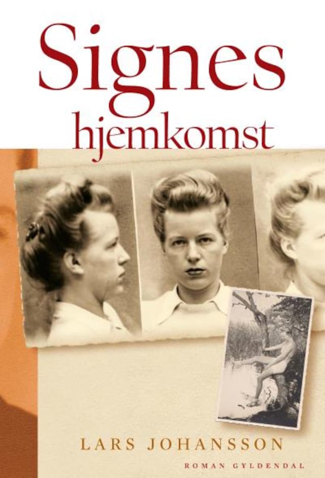 Book cover for Signes hjemkomst