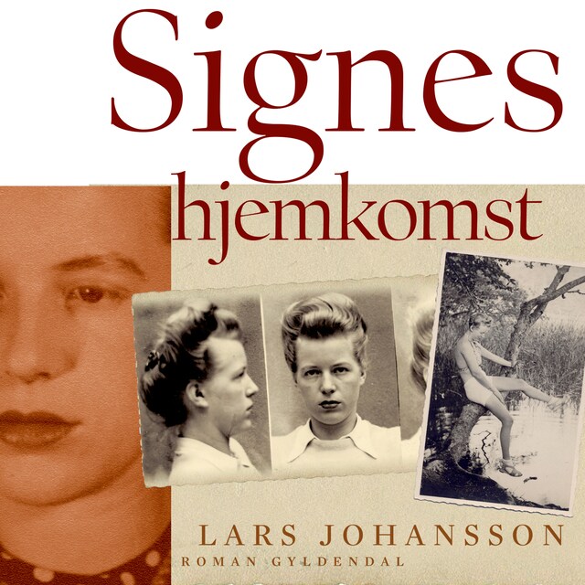 Book cover for Signes hjemkomst