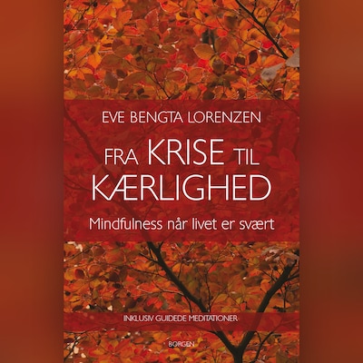 Fra krise til kærlighed