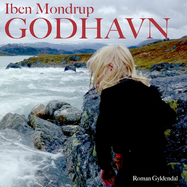 Book cover for Godhavn