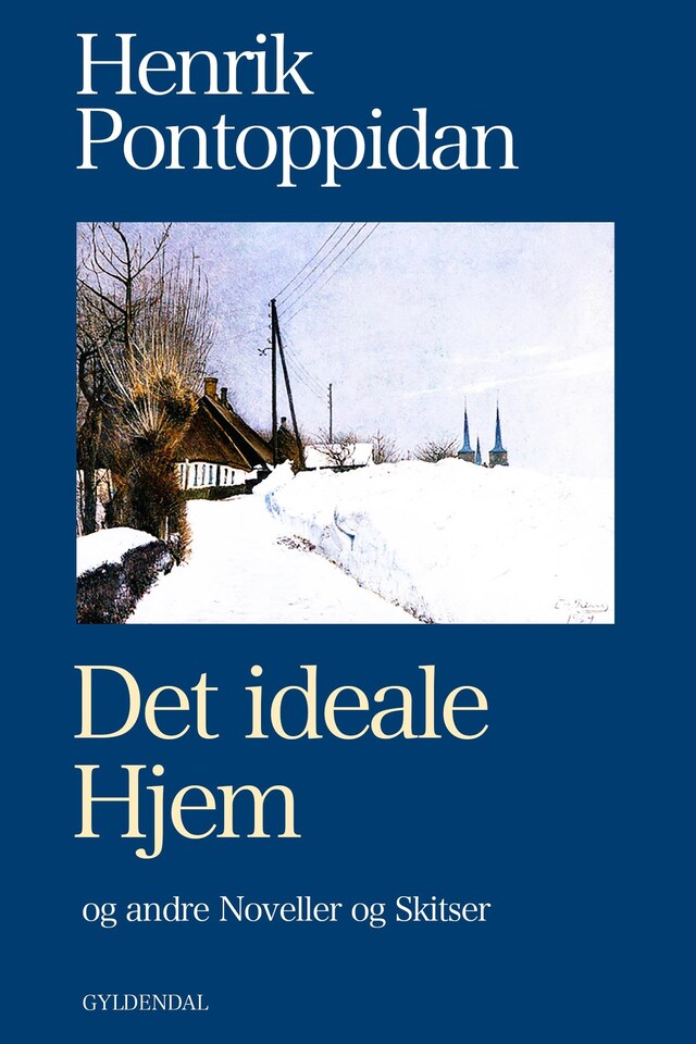 Book cover for Det ideale Hjem