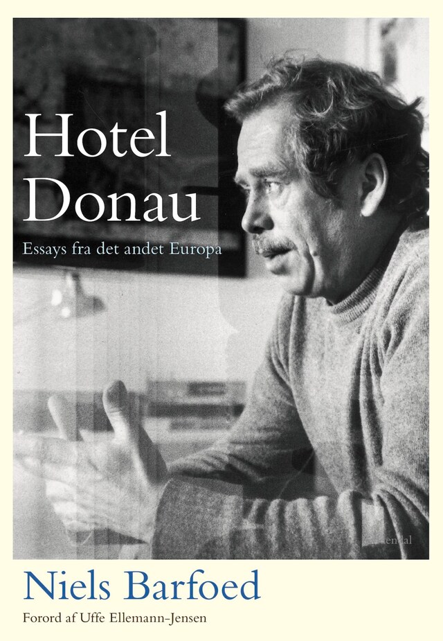 Book cover for Hotel Donau