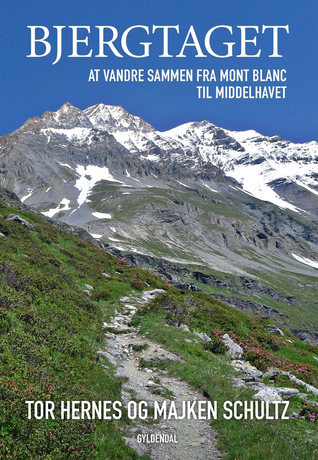 Book cover for Bjergtaget