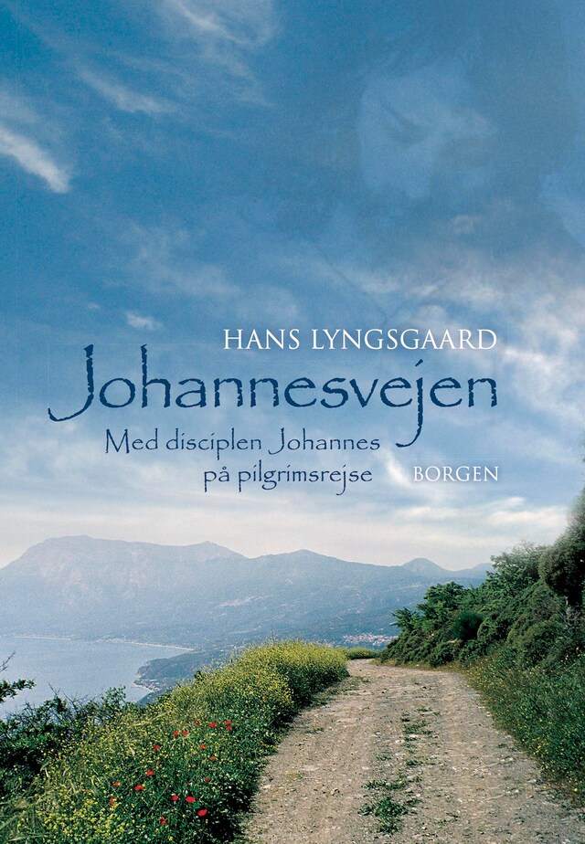 Buchcover für Johannesvejen