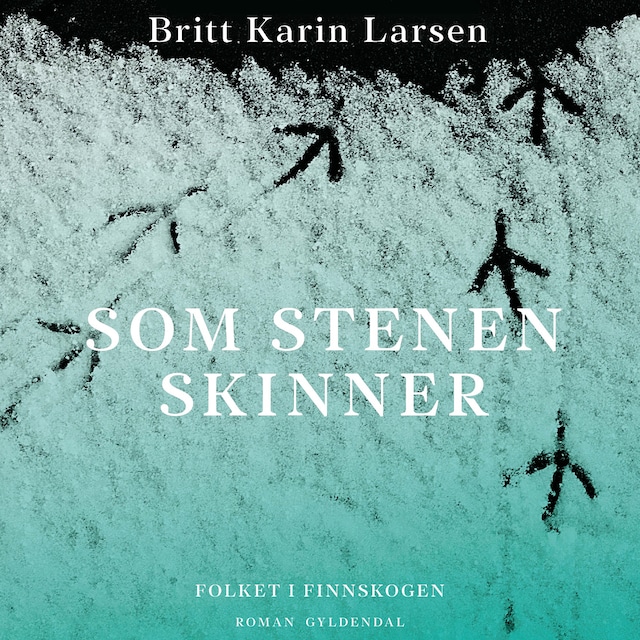 Book cover for Som stenen skinner