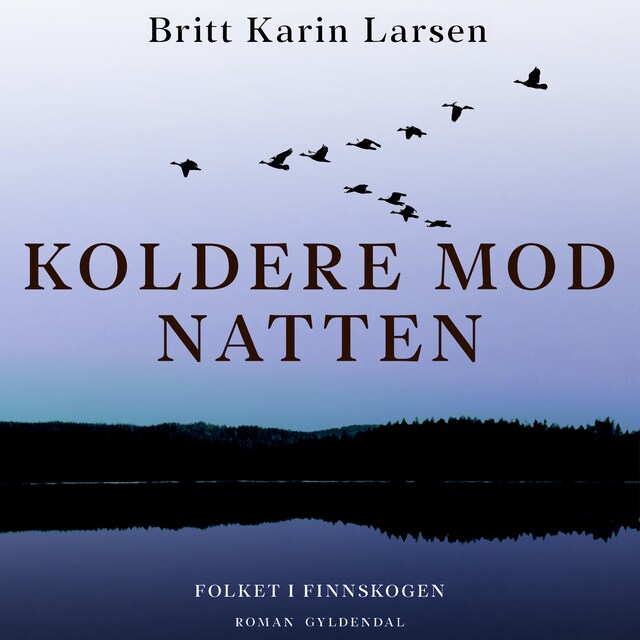 Book cover for Koldere mod natten