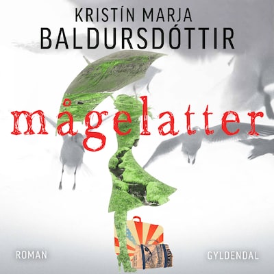 Mågelatter