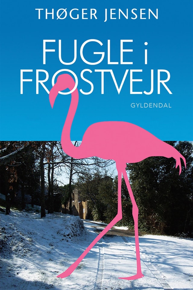 Book cover for Fugle i frostvejr