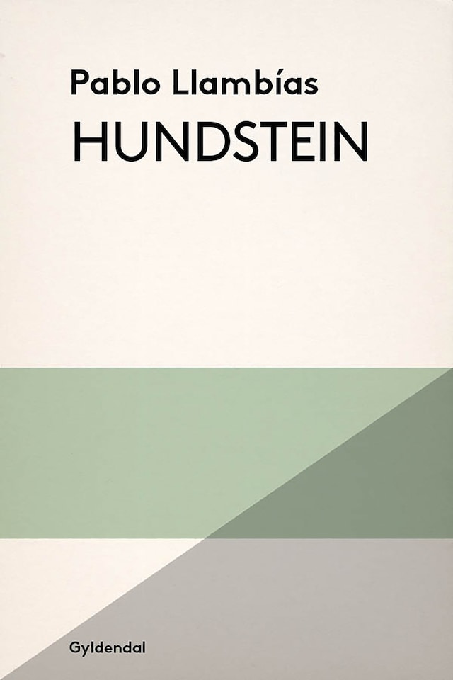 Boekomslag van Hundstein