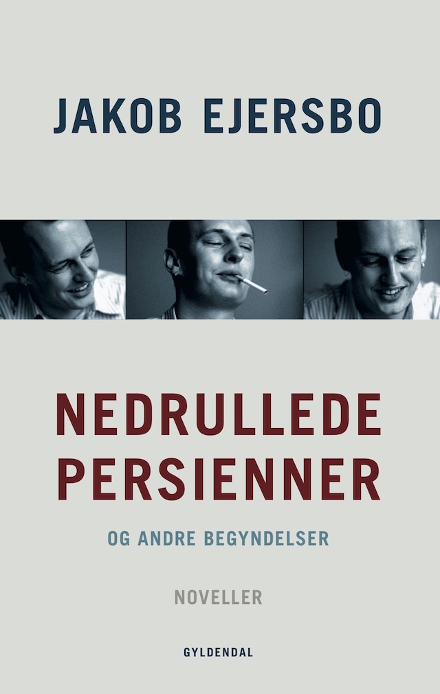 Book cover for Nedrullede persienner