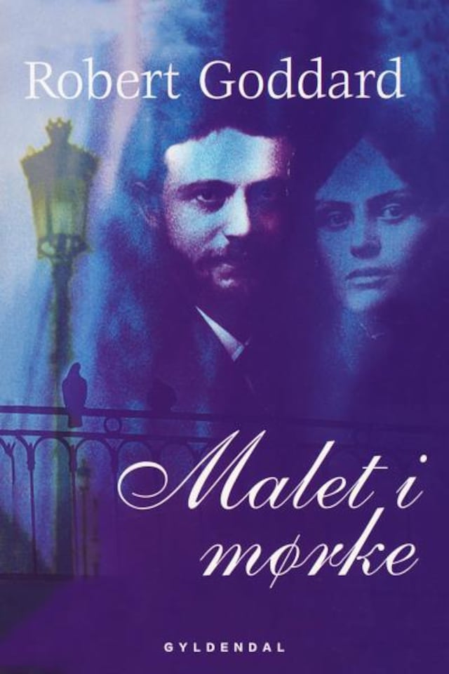 Book cover for Malet i mørke
