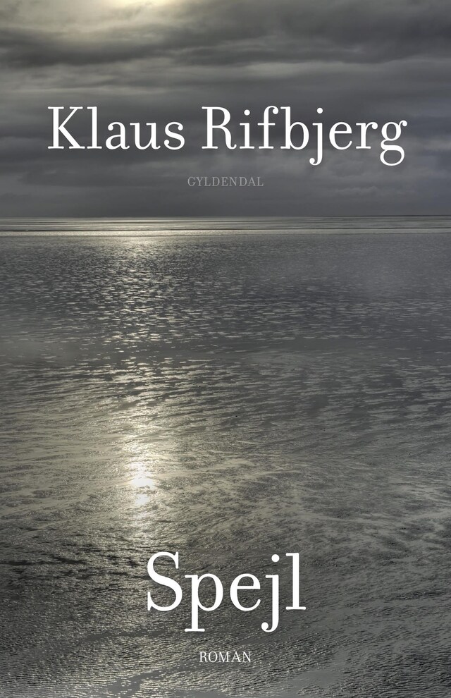 Book cover for Spejl