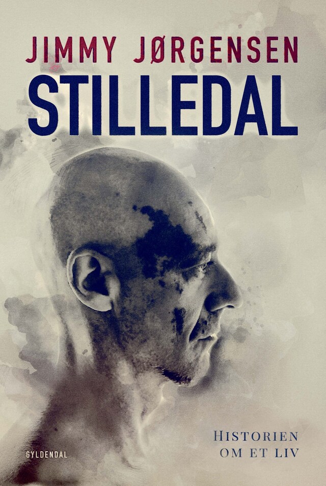 Book cover for Stilledal