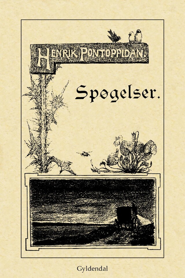 Copertina del libro per Spøgelser