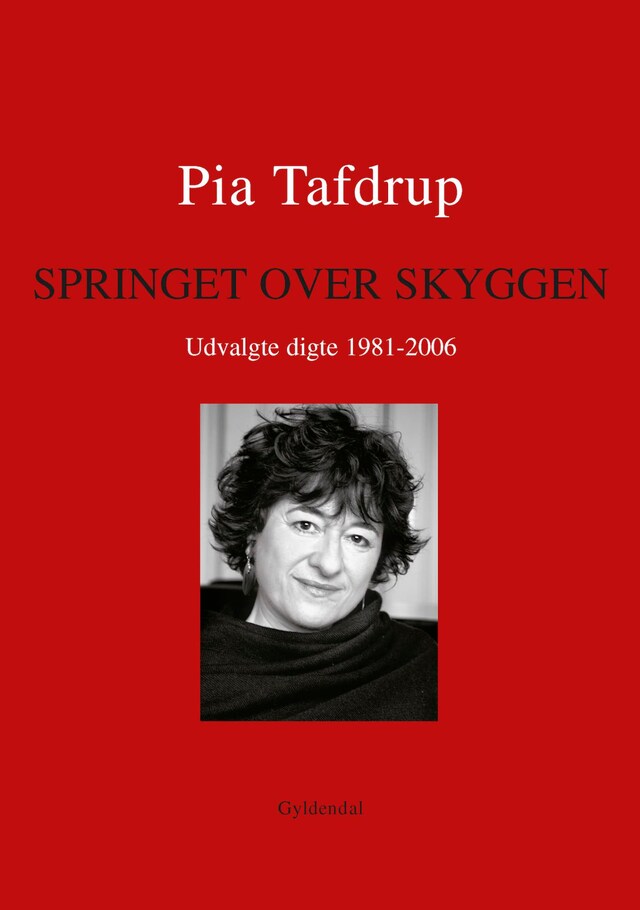 Book cover for Springet over skyggen