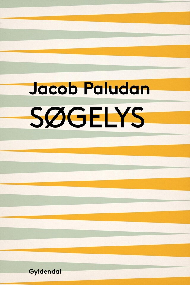 Book cover for Søgelys