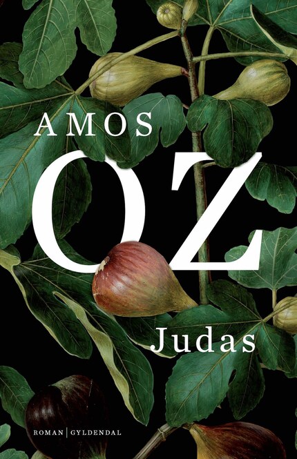 Judas bookCoverFor