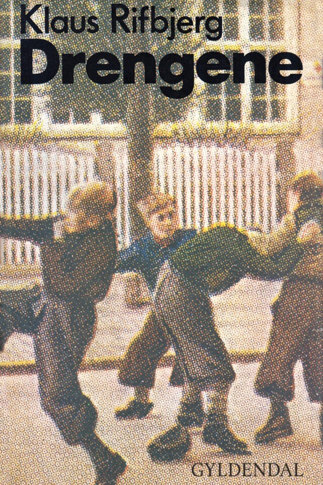 Book cover for Drengene