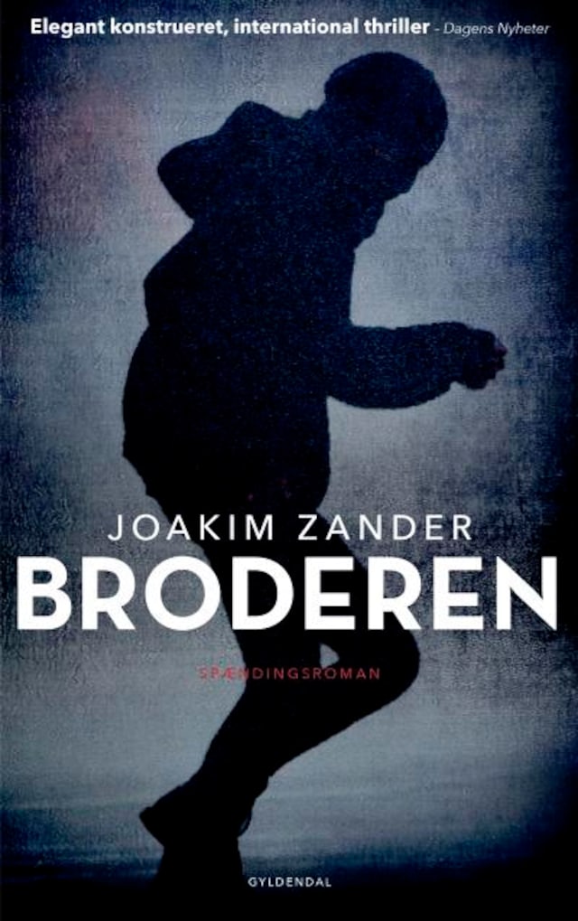 Book cover for Broderen