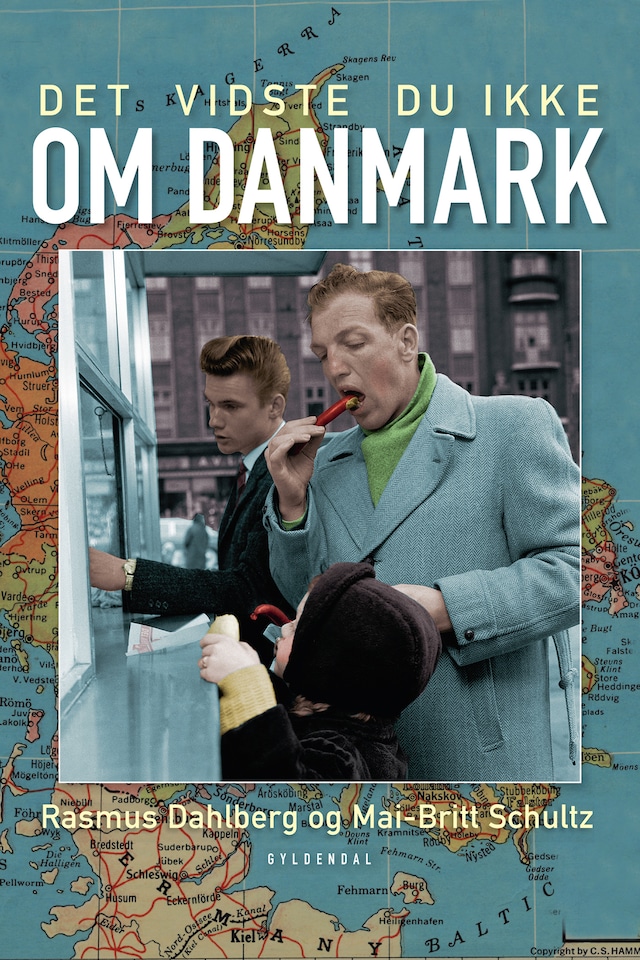 Okładka książki dla Det vidste du ikke om Danmark