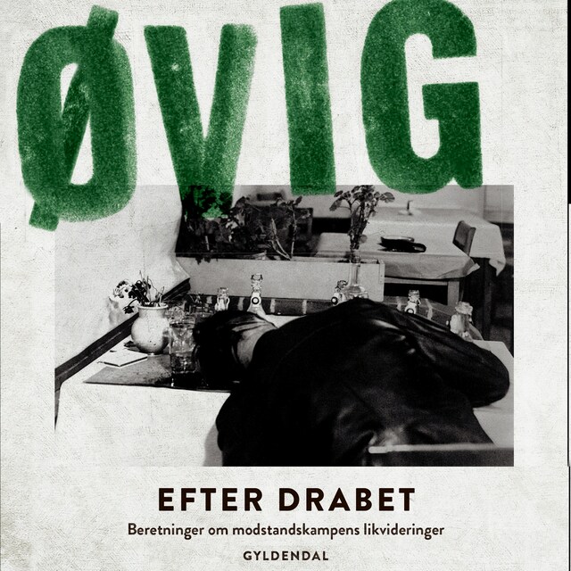 Copertina del libro per Efter drabet