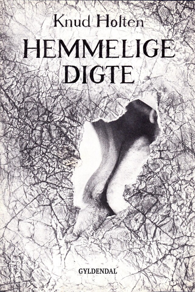 Book cover for Hemmelige digte