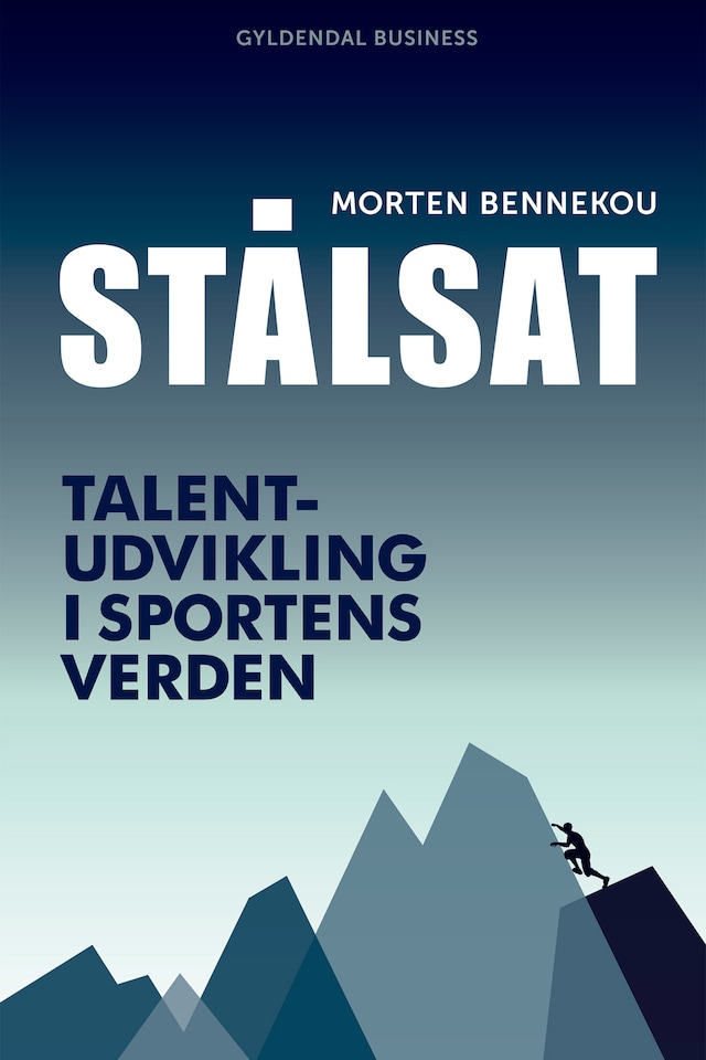 Buchcover für Stålsat