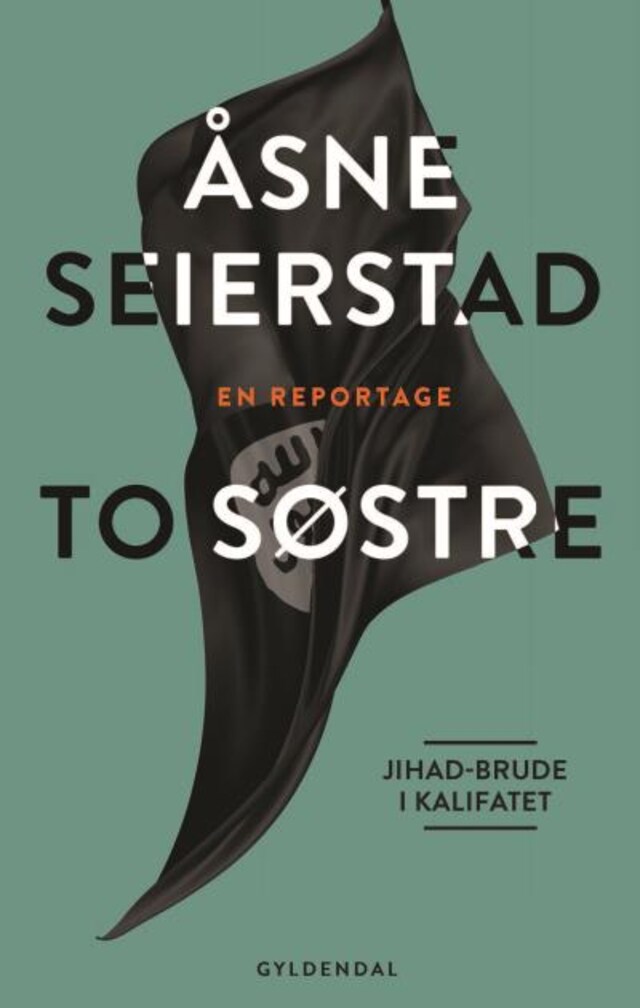 Book cover for To søstre
