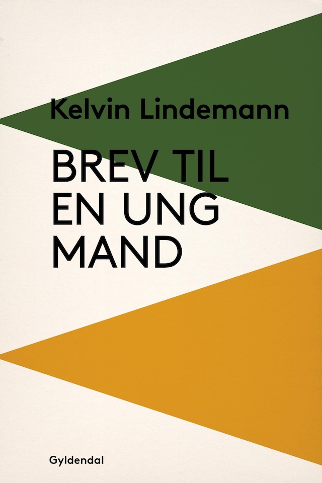 Book cover for Brev til en ung mand