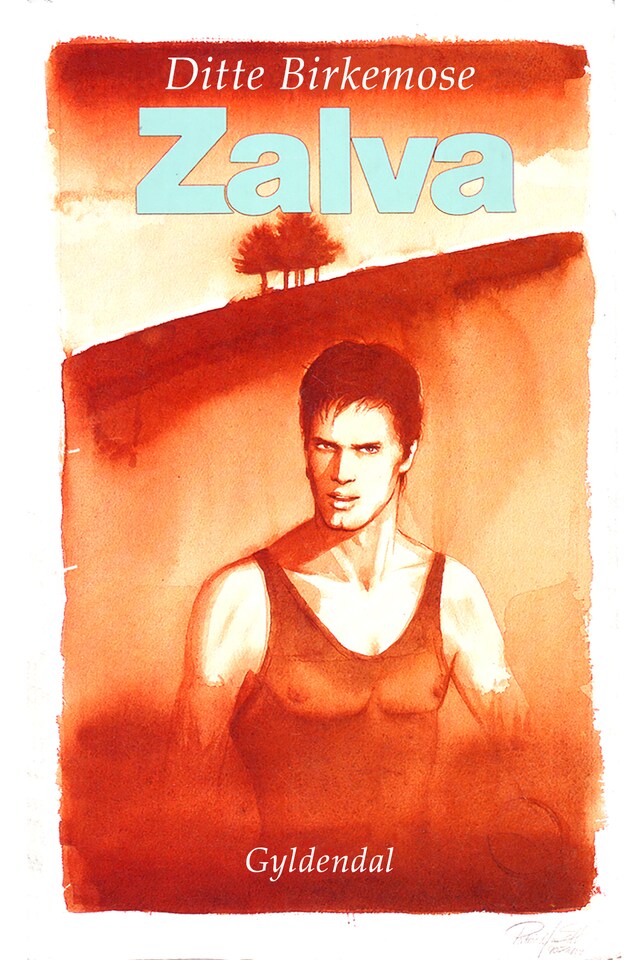 Book cover for Zalva