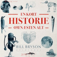 En kort historie om næsten alt